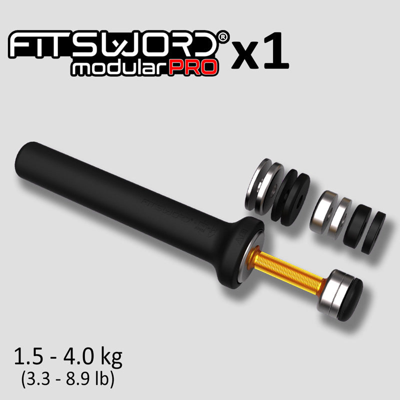 1 FITSWORD Modular PRO