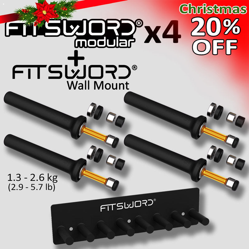 4 FITSWORD Modular + WALLMOUNT